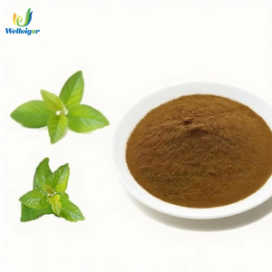 天然有機桑葉エキス粉末<span class=keywords><strong>1</strong></span> <span class=keywords><strong>DNJ</strong></span> 10% 標準化ハーブサプリメント血糖サポート - Product Image 1