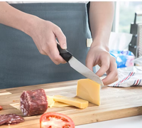 Couteau utilitaire à bord fin en acier inoxydable à haute teneur en carbone de 5.5 pouces avec couteau de cuisine à lame auto-affûtante avec manche en plastique
