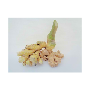 ขิงขมเกรดประหยัด กลิ่นหอมธรรมชาติ สำหรับการผลิตเชิงพาณิชย์ - Product Image 3