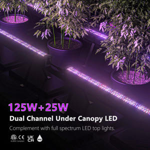 Nouveau lancement 125W + 25W auvent LED élèvent la lumière haut rouge lointain UV BSCI ISO certifié pour câble de connecteur Bloom vendu séparément - Product Image 2
