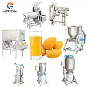 Mango guava pomegranate apple pear orange tomato juice extractor round fruit peeling skinning peeler machine for fruit plants