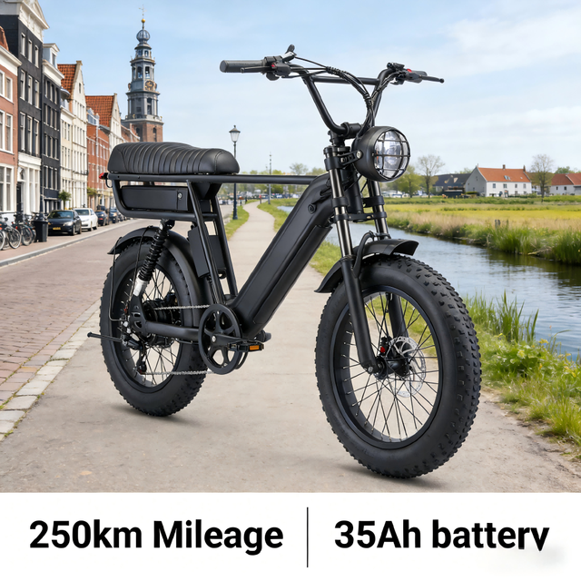 Y20 Pro Max Electric Bike 250W 48V 210KM Range 48V Electric Mountain Bike Fat Tire Snow E Bike City Road E BIKE Cheap