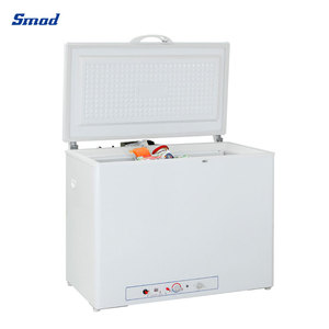 Réfrigérateur et congélateur à double alimentation Smad / Gaz et Électricité pour DSG-200B1 Gaz et Réfrigérateurs - Product Image 2