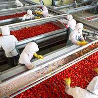 Tca Tomatenpuree Ketchup Machine Automatische Ketchup Productielijn Complete Ketchup Verwerkingslijn