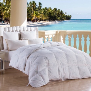 <span class=keywords><strong>2025</strong></span> Big-OEM-Order-Service-100 % Cotton in ngỗng xuống & Lông Duvet satin xuống <span class=keywords><strong>Comforter</strong></span> - Product Image 1