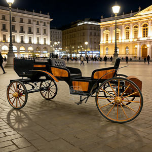 Carruaje Real de Caballos, Carruaje de Lujo para Bodas, Alquiler de Carruaje de Caballos Estilo Cenicienta para Celebraciones en Parques - Product Image 5