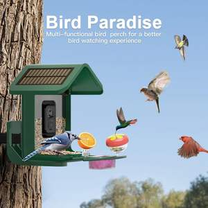 Caméra intelligente à énergie solaire pour mangeoire d'oiseaux 2K en direct Backyard AI Identification automatique Capture d'images de vidéos d'oiseaux en matière plastique - Product Image 3