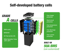 Paket Baterai Lithium Kompatibel Tegangan Tinggi 72v 60v 50ah 100ah Lfp Lifepo4 dengan Bms Terintegrasi untuk Sepeda Listrik dan Golf Cart