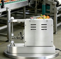 Automatische roestvrijstalen groente- en fruitenschilmachine Schil-appelmachine Sinaasappelschiller Hoge productiviteit 220V 80W