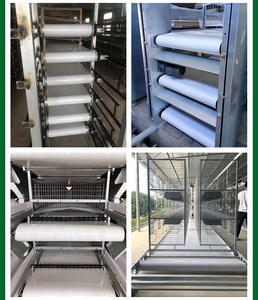 สายพานลำเลียงมูลสัตว์ PP สายพานลำเลียงมูลไก่แบบกรงไก่ PVC สายพานลำเลียงทำความสะอาดมูลสัตว์ เครื่องเชื่อมสายพานลำเลียงมูลสัตว์แบบอัลตราโซนิก - Product Image 6