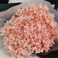 Roze Hortensia Eeuwige Bloem Ge conserveerde Hortensia's Ge stabiliseerde Hortensia voor Bruiloft Huis Tafeldecoratie Groothandel
