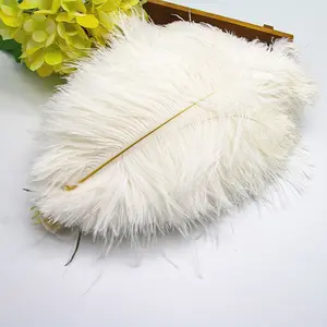 D1204 2022 New Arrival White Color Home Decorative Ostrich Feather 25-30cm Peacock Feather