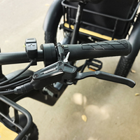 Tricycle électrique à 3 roues de 20''x4.0'' avec moteur arrière de 250 W, 7 vitesses, batterie lithium-ion, stock UE, vélo cargo électrique