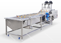 Bubbel Wasmachine Commerciële Ozon Fruit En Groente Wasmachine Fruit En Groenten Wasmachine Machine Met Ozon