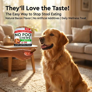 No Poo Golosinas para masticar perros Coprophagia Taburete Comer Disuasorio Enzimas digestivas Inmune Gut Health Breath Aid Suplemento para mascotas Perro - Product Image 5