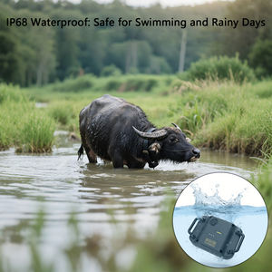 Nuovo Localizzatore GPS per Mucche <span class=keywords><strong>2026</strong></span> con Batteria da 20000 mAh, Collare GPS con Recinto Virtuale per Mucche e Pecore, Dispositivo di Tracciamento GPS 4G per Animali - Product Image 3