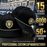 Casquette Snapback OEM ODM avec Patch Lion Doré 3D, Visière Plate, Perforations Laser, Casquette Trucker Noire, Couleur Personnalisée, MOQ, BSCI, Barudan, Expédition DDP