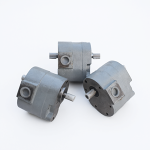 Tête de pompe à engrenages CB-B en fonte, à deux extrémités d'arbre, ensemble de pompe hydraulique standard de remplacement - Product Image 1
