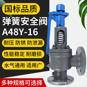 Nouvelle soupape de sécurité Star Valves A48Y-16C à bride pour vapeur et air 16 bars DN40 - Product Image 2