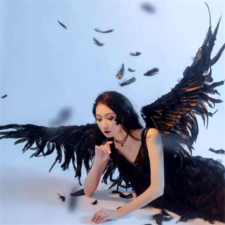 Black Victoria Secret Feather wings Cosplay Angel wings|