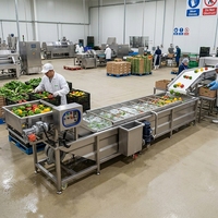 Fabrieksdirect volautomatische nieuwe YIHAI was- en drooglijn voor blauwe bessen, tomaten, mango's, fruit en groenten