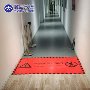 Customized 3D Printed <strong>PVC</strong> <strong>Flooring</strong> for Sports and Commercial - Product Image 1