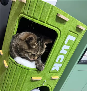 Rascador de Gato para Casa de Gato, Marco de Escalada Universal de Cuatro Estaciones, Agujero de Árbol Multicapa para Familias de Varios Gatos - Product Image 6