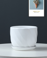 Pot de fleurs en céramique rétro OEM, petit pot à cactus, support blanc pour plantes succulentes