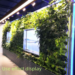 Chậu trồng cây treo tường, trồng rau ban công, chất liệu nhựa composite, kết hợp chậu bonsai nhựa, chậu hoa trang trí - Product Image 6