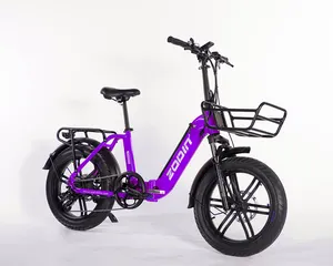 तह बाइक 20 इंच नई सरल लंबी दूरी छिपा बैटरी इलेक्ट्रिक बाइक