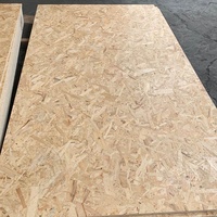 HAI SHUN Panneaux de placage orientés de première qualité 8mm/9mm/18mm pour usage extérieur Modèle 1220x2440MM/1250x2500MM