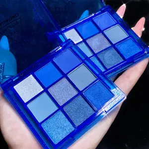 Le meilleur fard à paupières gris argent fumé miroitant mat vente chaude Anti-transpiration qualité Klein Blue maquillage palette de fard à paupières fumé