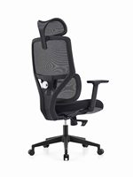 Chaise de bureau ergonomique au design moderne, appui-tête réglable, matériau en maille confortable, base en acier, accoudoirs réglables, fonction de levage