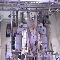 Machine à dépeigner hydraulique, moteur en acier inoxydable, tire-peau de bétail, machine à écorcher pour abattoir, équipement d'abattoir de haute qualité