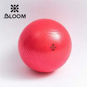 20cm PVC Home Workout Fitness Wholesale Exercise Inflatable Soft Mini Pilates Small Yoga Ball