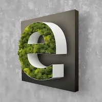 Logo mural vert lumineux 3D personnalisable en LED, lettres en herbe et en mousse, publicité et décoration, panneau d'affichage d'entrée