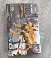 Roboterhund