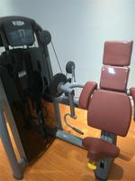 Machine de musculation pour biceps, équipement de salle de sport, de qualité supérieure, robuste, pour la musculation des bras