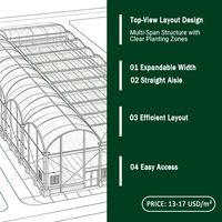 8m Span Multi-span foliekas met oprolbare ventilatie voor tomatenteelt, verzinkte constructie