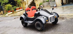 Kart de course à essence 125CC 4 temps, nouveau modèle 2024, 2 places pour enfants et adultes, buggy tout-terrain à 4 roues, voiturette de <span class=keywords><strong>golf</strong></span> - Product Image 6