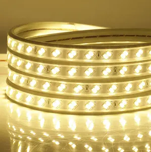 5m Set 2835 SMD flessibile RGB LED Strip DC 12V LED Tape Light Kit Controller Wifi Alexa Google Home controllo vocale