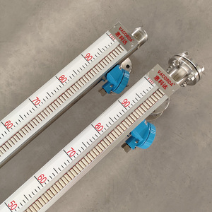 Jauge de niveau magnétique à clapet de type bypass avec alarme, précision 0,5 FS, sortie 4-20 mA/HART, certifiée SIL - Product Image 5