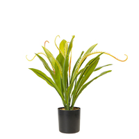Arbres artificiels uniques de 40 cm, plantes Nepenthes avec fruits suspendus, bonsaï de table, plante artificielle, décoration d'intérieur