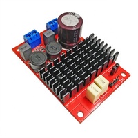 Panneau amplificateur de puissance numérique, livraison gratuite, TPA3116, mono BTL, sortie 100W