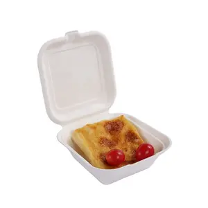 eco friendly dinnerware packaging for food products takeaway packaging supplies