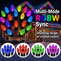 Guirlandes lumineuses de Noël personnalisées de 12 pouces et 15 pouces, C9 E17, 24V, IP65, commande Wifi, ampoules LED C9 pour jardin commercial