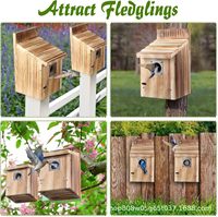 Nichoir moderne pour oiseaux d'extérieur en bois avec protection contre les prédateurs en métal pour les pinsons, les hirondelles, les moineaux et les pinsons