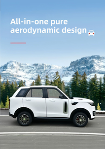 Voiture électrique mini entièrement fermée à basse vitesse, fournie directement par l'usine, véhicule de mobilité électrique quatre roues neuf, abordable et économique - Product Image 2
