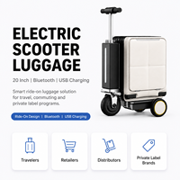 Vente en gros usine : Trottinette électrique 20 pouces de haute qualité, valise de sport avec serrure à code, Bluetooth et chargement USB, valise à roulettes