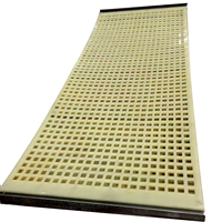 Maille de tamis modulaire en polyuréthane pour crible vibrant, plaque de tamis en PU résistante à l'usure, fourniture directe usine, OEM personnalisé